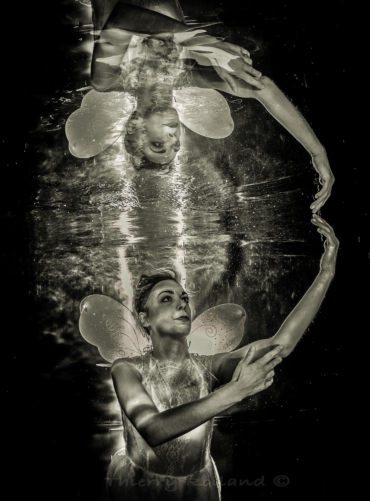 Butterflash - Prix spécial du jury Championnat de france photo piscine 2017 Médaille d'Or