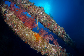 thierry-rolland.frthr_3228.jpg