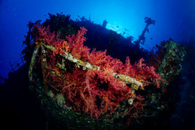 thierry-rolland.fr_dsc9077-2.jpg