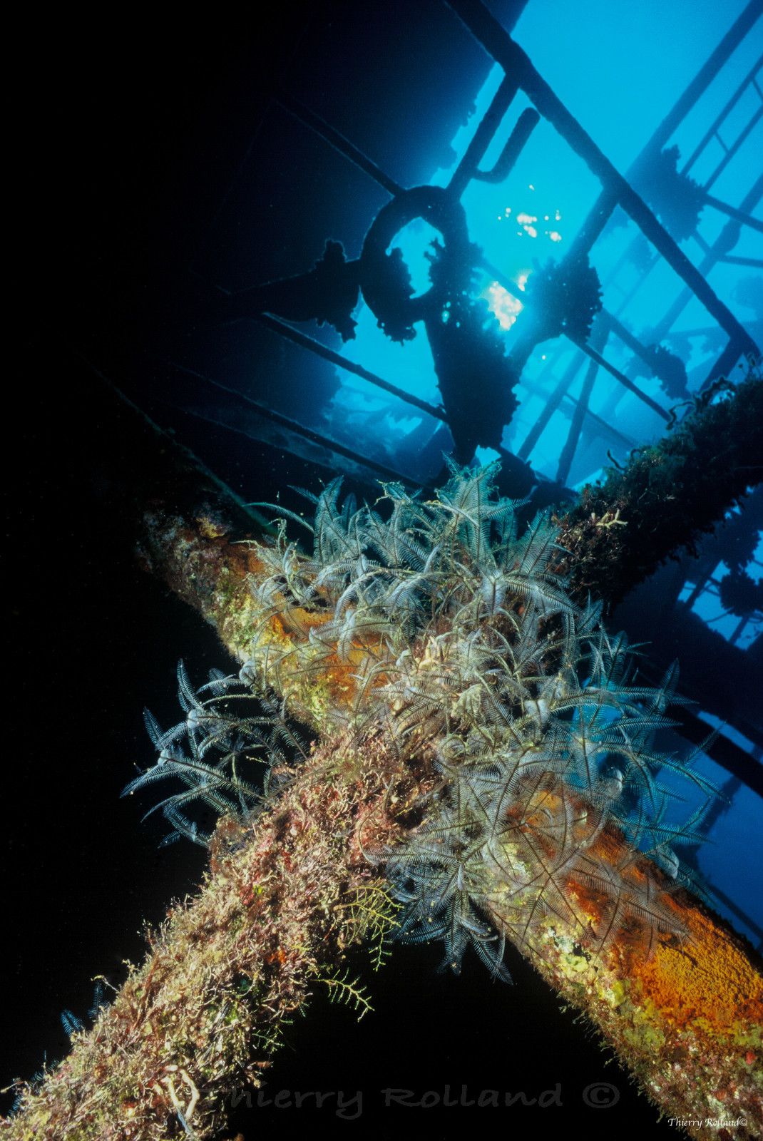 Super structures et corail Salem express Safaga
