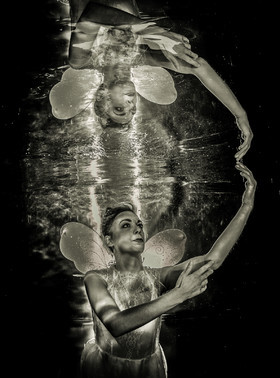 Butterflash - Prix spécial du jury Championnat de france photo piscine 2017 Médaille d'Or
